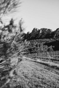 Photographe de paysage en occitanie
