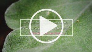 Vidéo horticulture et agriculture à Bordeaux par le studio des 2 prairies : interviews et reportage