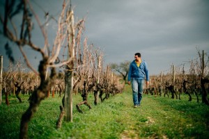 Photos de viticulture et vins, photographes pro en agriculture