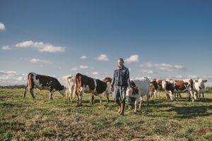Reportage photo en élevage bovin pour Bresse Bleu