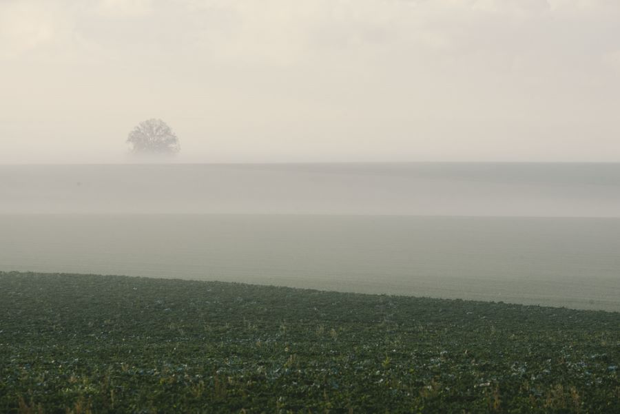 Paysage brumeux de la Marne au petit matin - photographie agricole ©Studio des 2 prairies