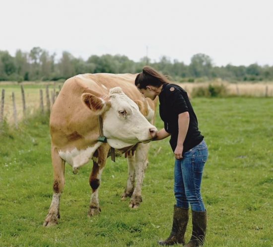 Portrait vidéo d'éleveurs de vaches Simmental / Claire Daniel ©Studio des 2 Prairies