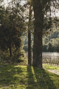 Photographe agriculture et paysage en Aquitaine