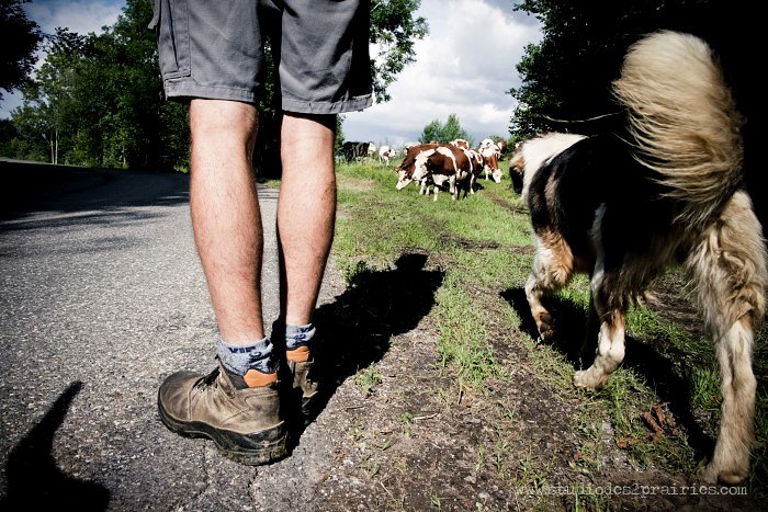 Banque d'images agriculture et artisanat - photos libres de droit