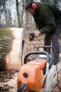 Photographies de bucheronnage, forêt, bois, sur la photothèque d'Alice Bertrand et Eve Hilaire