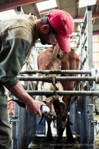 Portrait d'agriculteurs sur la banque d'images agricoles du studio des 2 prairies