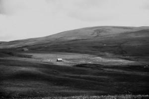 Photographe professionnelle en paysages - ruralité