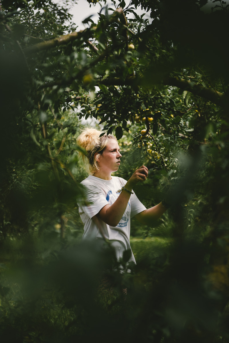 photographe et vidéaste agriculture - Alice Bertrand et Eve Lancery, Le Studio des 2 Prairies