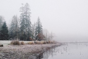 Photographes professionnelles pour photographies de paysages ruraux