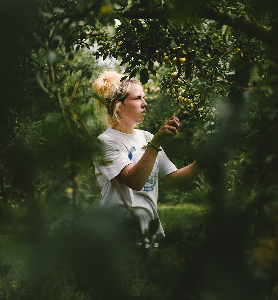 photographe et vidéaste agriculture - Alice Bertrand et Eve Lancery, Le Studio des 2 Prairies