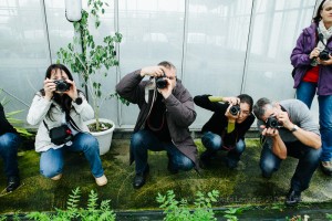 Formation photo en entreprise par le Studio des 2 Prairies