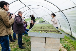 Formation photographique pour les entreprises et organismes agricoles