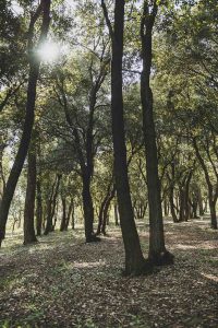 Photographe de paysage en occitanie