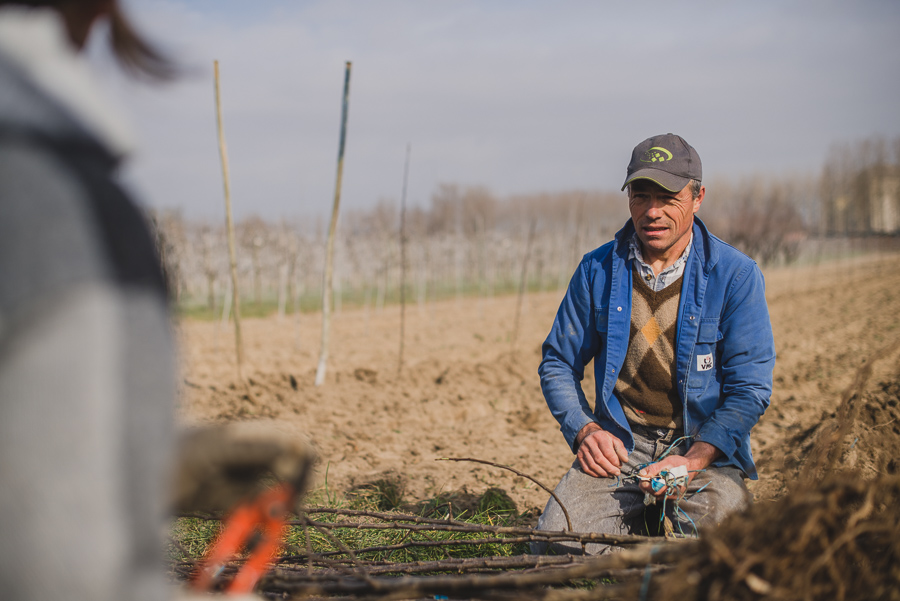 Reportage photo du Studio des 2 Prairies pour la FNPF, en arboriculture