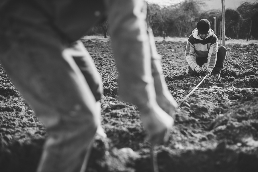 Reportage photo du Studio des 2 Prairies pour la FNPF, en arboriculture