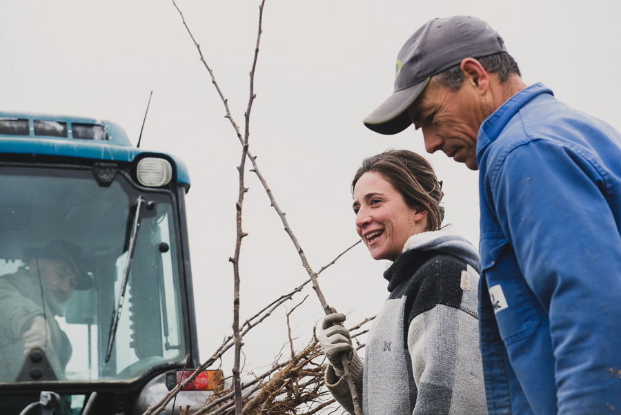 Reportage arboriculture, Photographes agricoles en Rhône Alpes - Studio des 2 Prairies