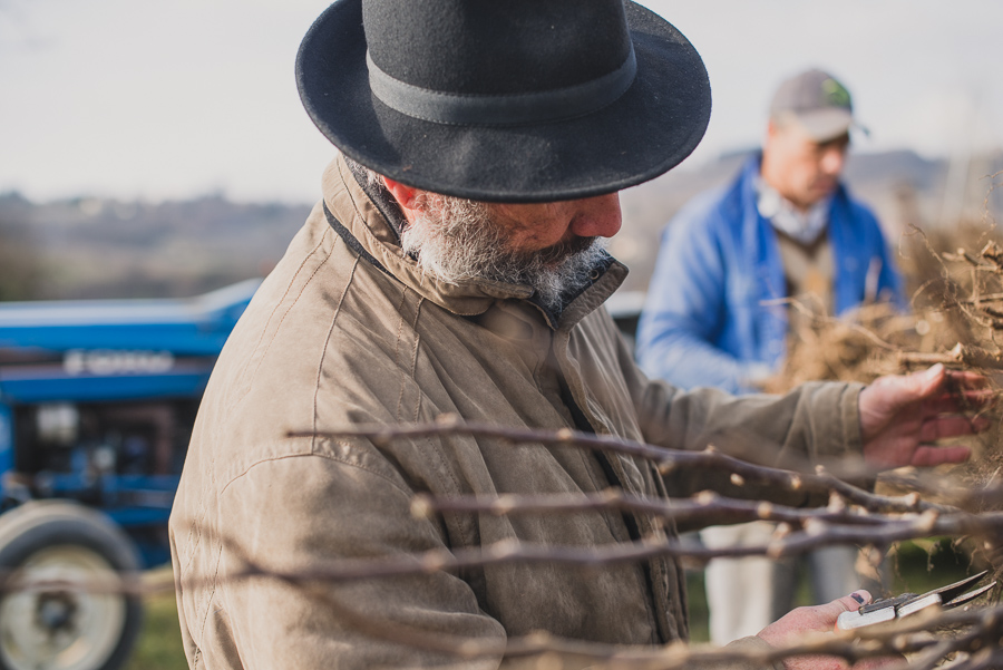 Photos de la plantation des poiriers en Rhône Alpes - ©Studio des 2 Prairies