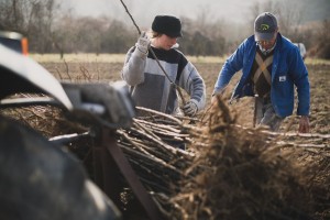 Photos de la plantation des poiriers en Rhône Alpes - ©Studio des 2 Prairies