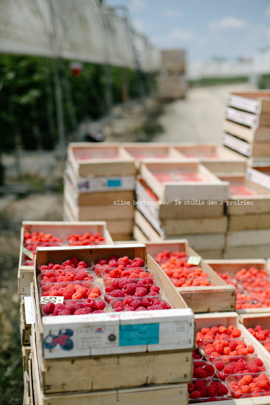 formation-photographie-agricole-004