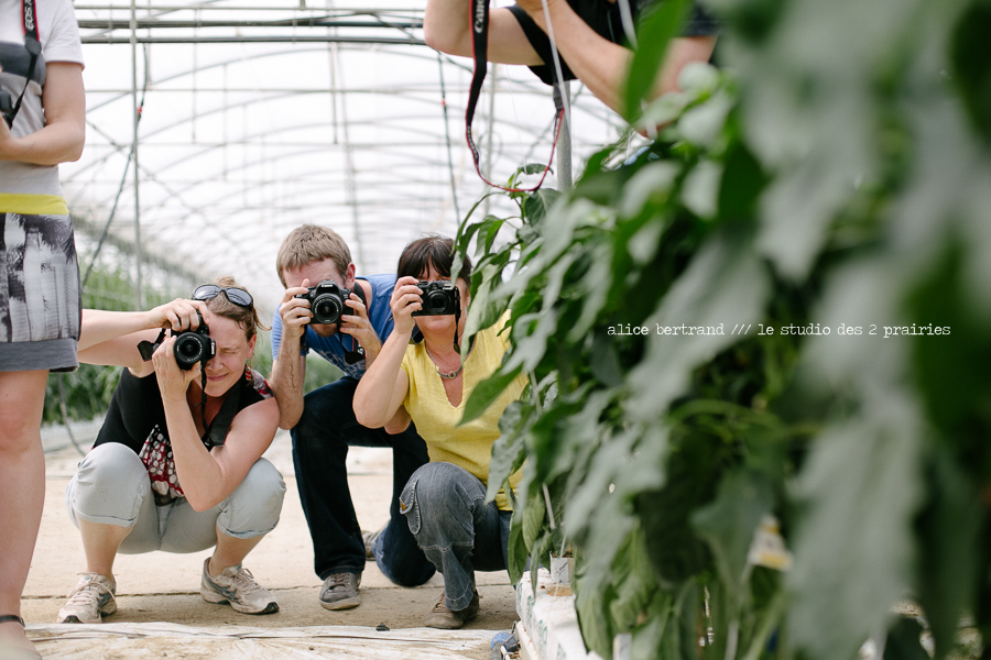 formation journalistes photographie agriculture