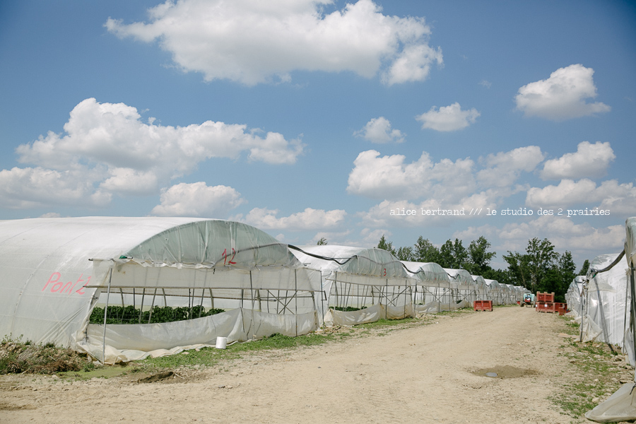 formation-photographie-agricole-020