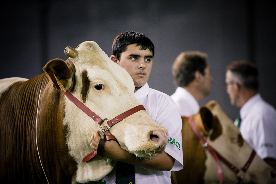 Studio des 2 Prairies : Photographie de Concours