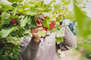 Photographe agriculture ©Eve Hilaire / Studio des 2 Prairies