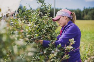 Photographe agriculture ©Eve Hilaire / Studio des 2 Prairies