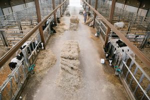 Photographie en Agriculture : Bâtiment