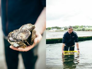 Ostréiculture dans le Golfe du Morbihan