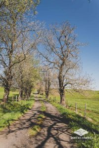 Plateau du limon - photographe de paysages - Auvergne Rhone Alpes