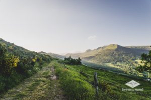 Col de Néronne - photographe professionnelle territoire - Auvergne Rhone Alpes