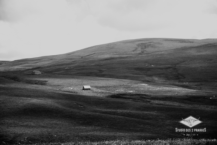 Col de Chamaroux - photographe professionnelle territoire - Parc des volcans d'Auvergne