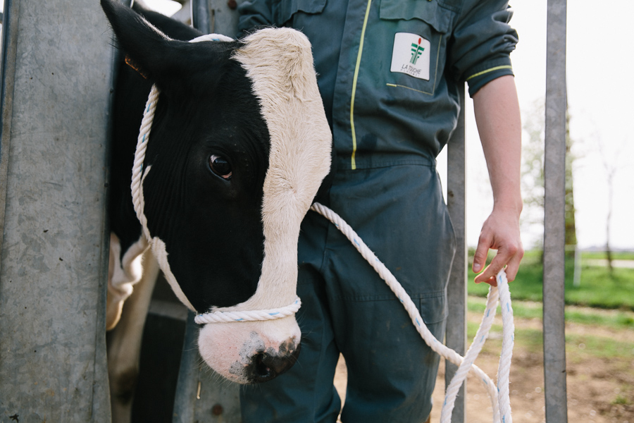 Alice Bertrand photographe en agriculture