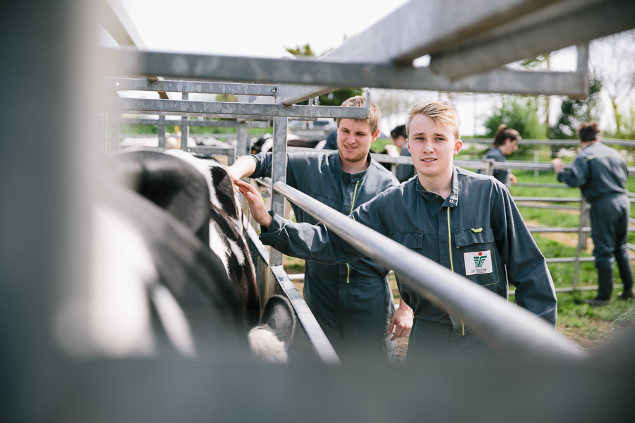 Alice Bertrand photographe en agriculture