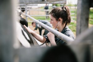 étudiants en lycée agricole