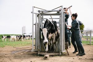 étudiants en lycée agricole