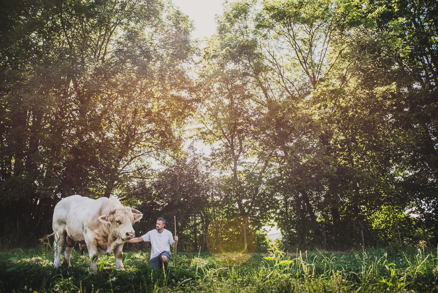 Photographe en agriculture : reportage photo eleveurs en Isère