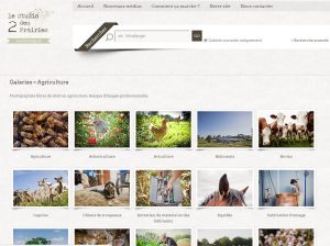 Banque d'images - Photographies agriculture libres de droit