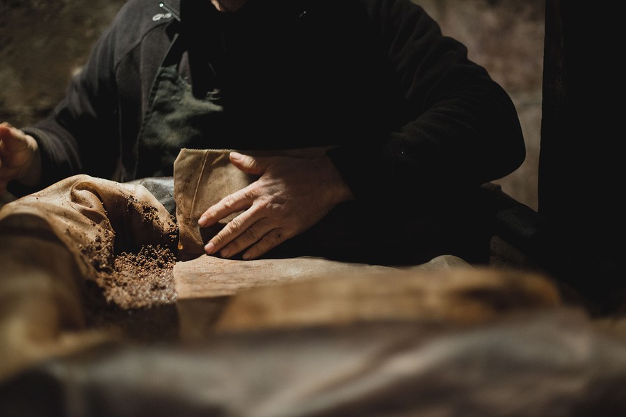 Reportages photo en arboriculture / Eve Hilaire Lancery, Studio des 2 Prairies