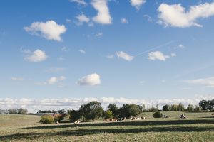 Reportage photo en agriculture par les photographes professionnelles du Studio des 2 Prairies