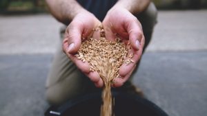 Réalisation d'une vidéo institutionnelle pour le manifeste de la coopération agricole