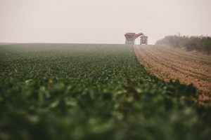 Reportage photo la récolte des betteraves en Champagne Ardennes ©Studio des 2 Prairies