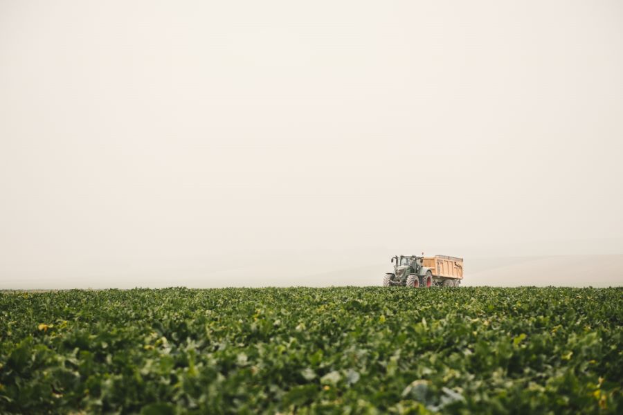 Reportage photo la récolte des betteraves en Champagne Ardennes ©Studio des 2 Prairies