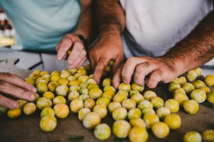 Photographe agriculture fruits Auvergne - Studio des 2 Prairies