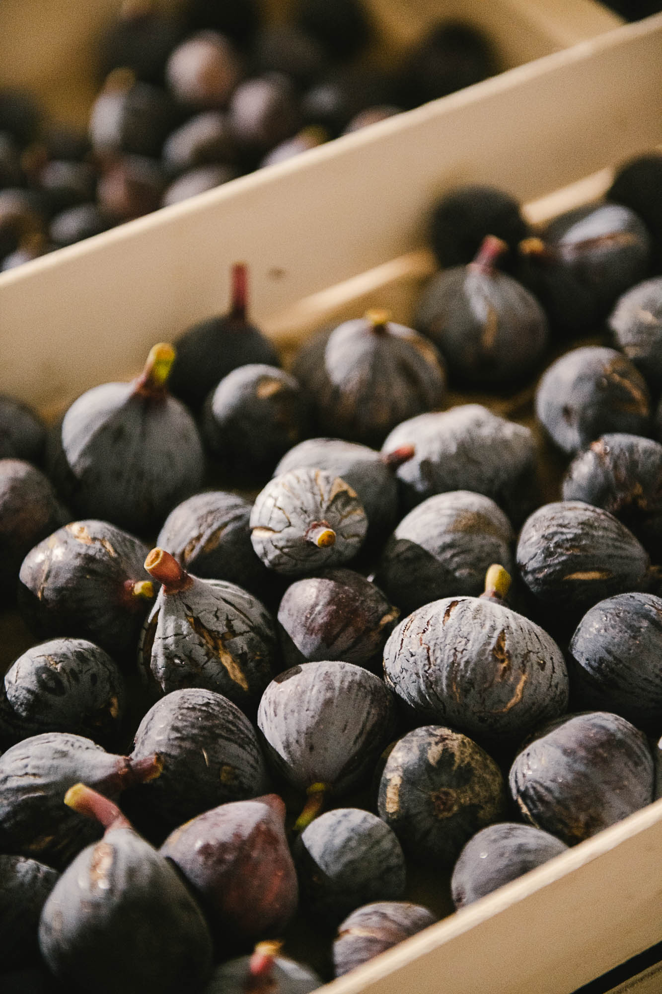 Photographe agriculture fruits - Studio des 2 Prairies