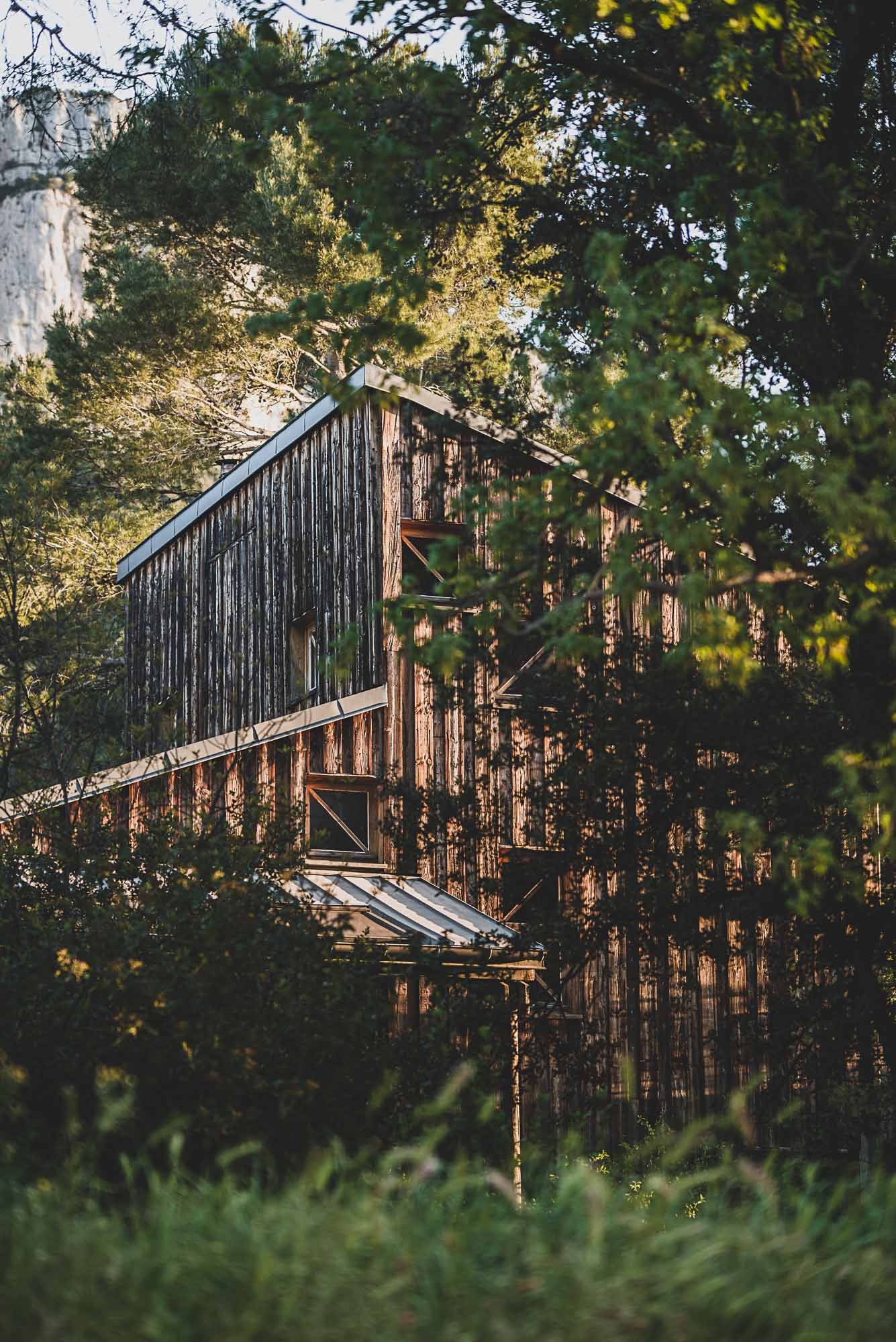 Photographie en agriculture, les paysages du Domaine Viticole de l'Hortus