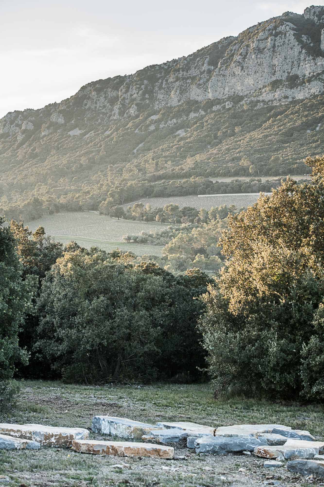 Photographe viticulture à Montpellier, vignes et paysage du Pic Saint Loup au Domaine de l'Hortus ©Studio des 2 Prairies