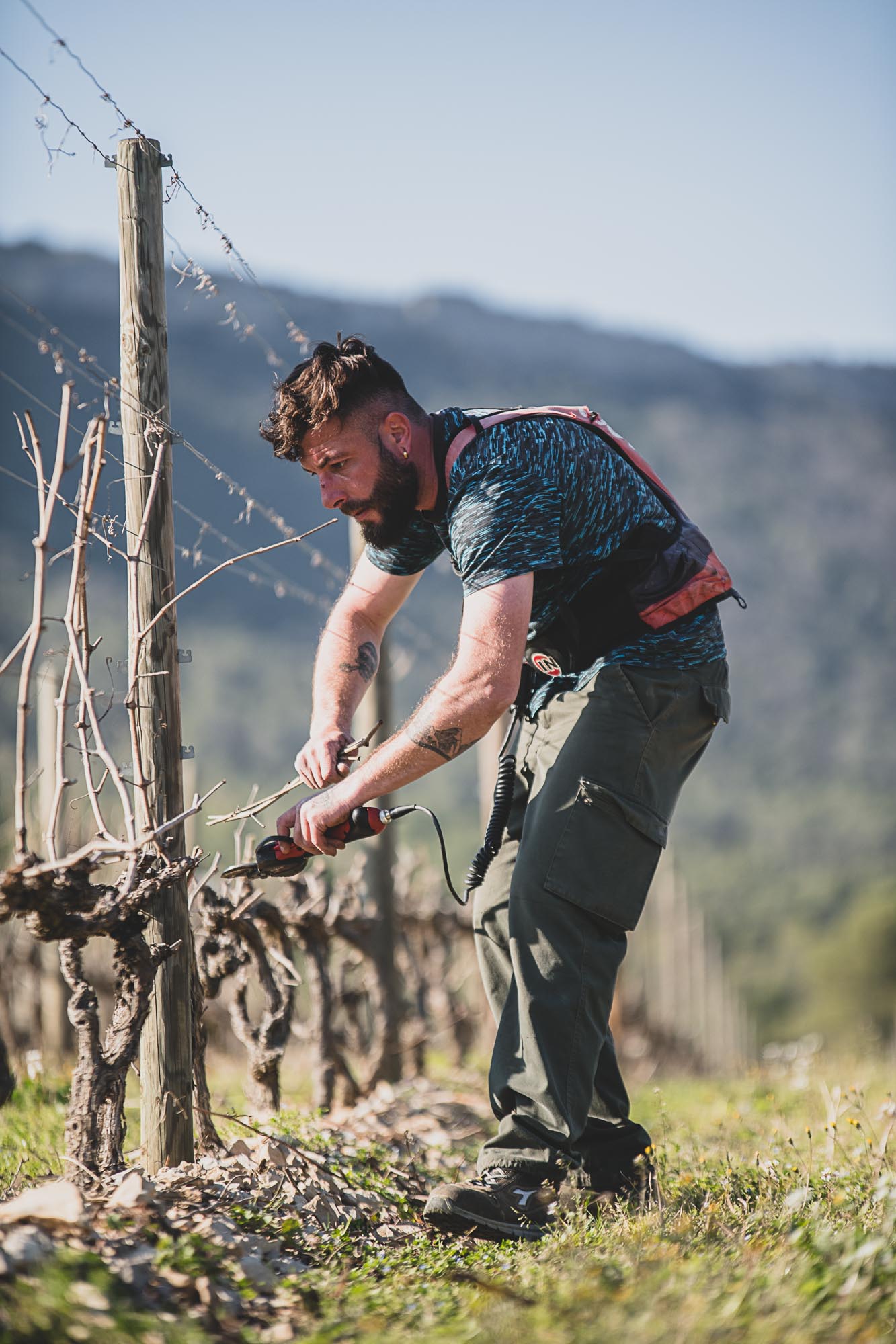 Photographe viticulture à Montpellier, travaux viticoles au Domaine de l'Hortus ©Studio des 2 Prairies