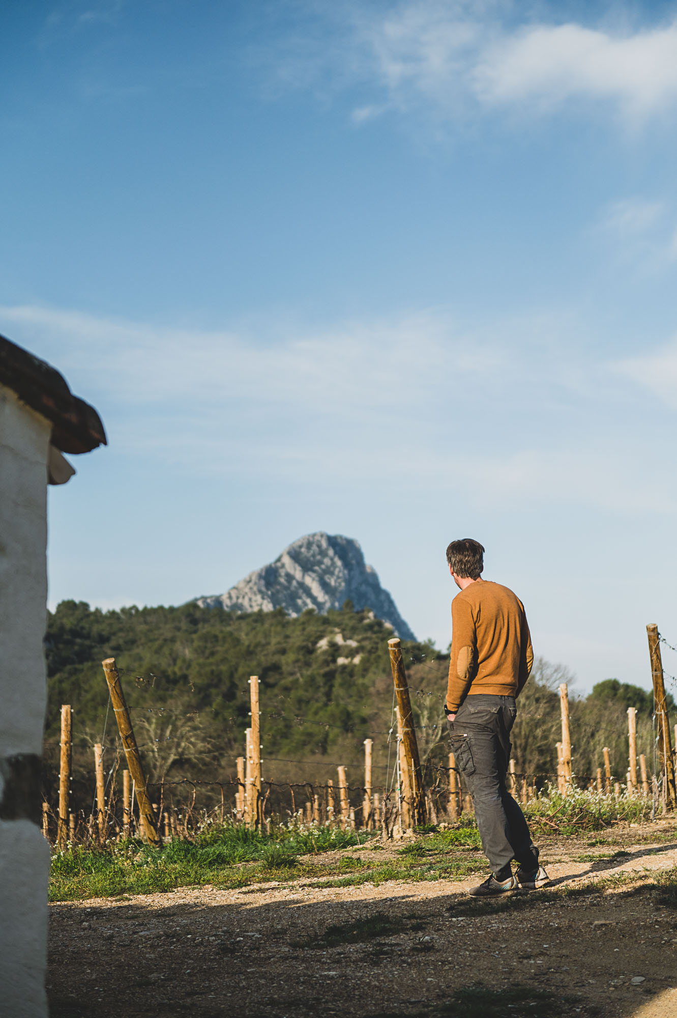 Photographe viticulture à Montpellier, les vignes du Domaine de l'Hortus ©Studio des 2 Prairies